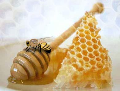 Sabias que en 1931 un Científico recibió el “Premio Nobel” por descubrir la CAUSA PRIMARIA del CÁNCER, la cura y prevención, pero ocultaron la información? 4fdb8a_abeja-miel